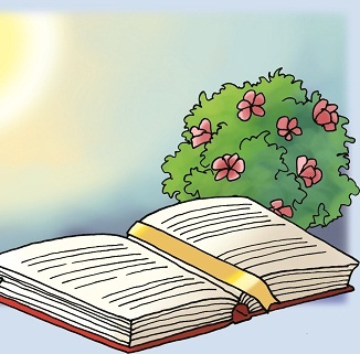 Los niños y la Liturgia: Esquema básico de una celebración de la palabra