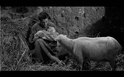 San José de Cupertino – La película