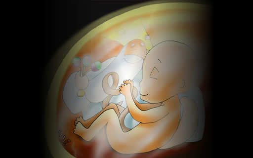 Evangelio del día: Aquel día en que Jesús lloró