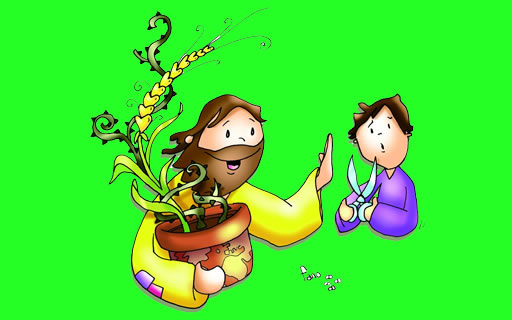 Evangelio del día: La semilla y la cizaña